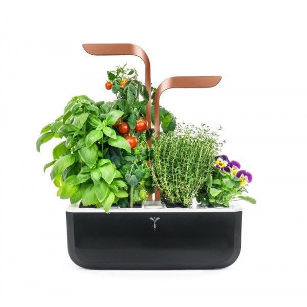 VERITABLE Домашна градина SMART VÉRITABLE® GARDEN - цвят черен/мед