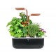 VERITABLE Домашна градина SMART VÉRITABLE® GARDEN - цвят черен/мед
