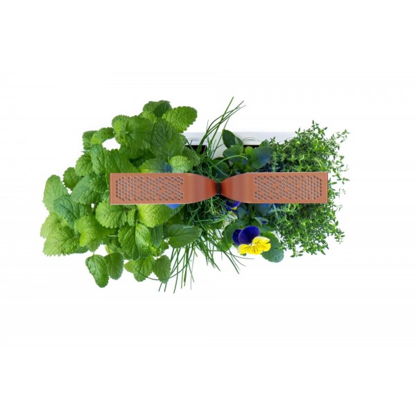 VERITABLE Домашна градина SMART VÉRITABLE® GARDEN - цвят черен/мед