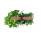 VERITABLE Домашна градина SMART VÉRITABLE® GARDEN - цвят черен/мед