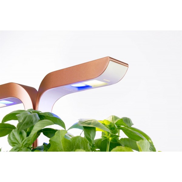 VERITABLE Домашна градина SMART VÉRITABLE® GARDEN - цвят черен/мед