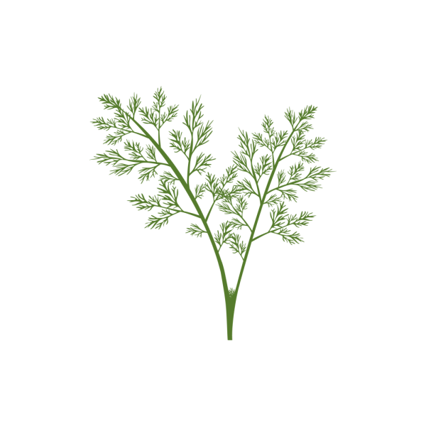 VERITABLE Lingot® Dill Organic - Копър