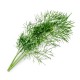 VERITABLE Lingot® Dill Organic - Копър