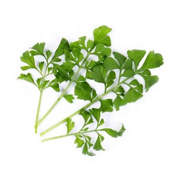 VERITABLE Lingot® Garden cress Organic - Градински Кресон