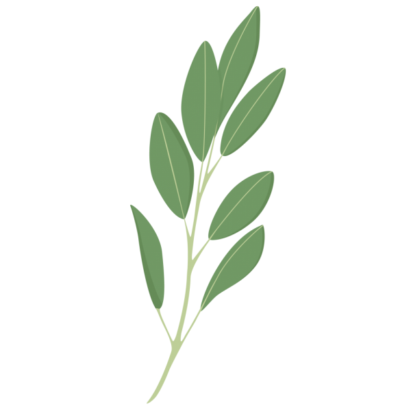 VERITABLE Lingot® Sage Organic - Градински Чай листа