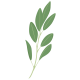 VERITABLE Lingot® Sage Organic - Градински Чай листа