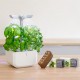 VERITABLE Домашна градина EXKY® SMART GARDEN - цвят бял/инокс