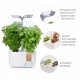 VERITABLE Домашна градина EXKY® SMART GARDEN - цвят бял/инокс