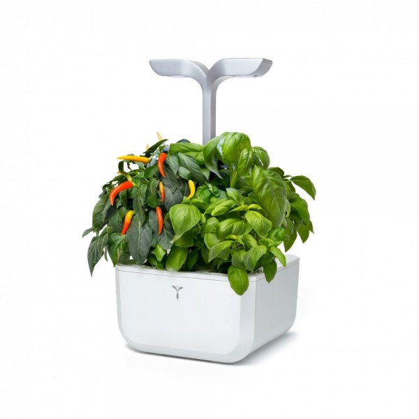 VERITABLE Домашна градина EXKY® SMART GARDEN - цвят бял/инокс