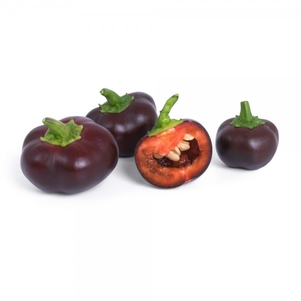 VERITABLE Lingot® Chocolate mini bell pepper Organic - Шоколадови Мини Камби