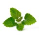 VERITABLE Lingot® Lemon Balm Organic - Маточина