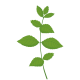 VERITABLE Lingot® Lemon Balm Organic - Маточина