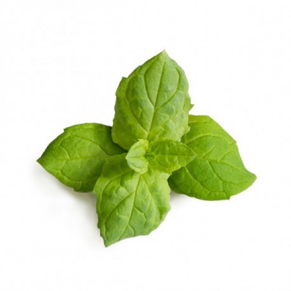 VERITABLE Lingot® Maroccan Mint - Мароканска Мента