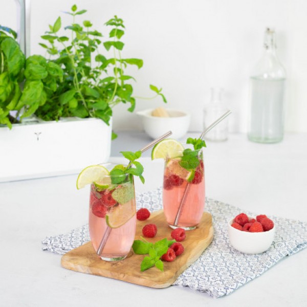 VERITABLE Lingot® Maroccan Mint - Мароканска Мента