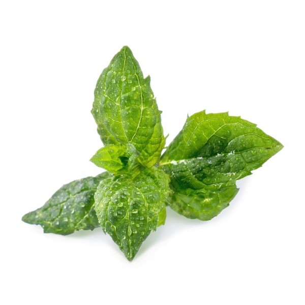 VERITABLE Lingot® Spearmint - Сладка Мента