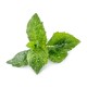 VERITABLE Lingot® Spearmint - Сладка Мента