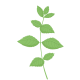 VERITABLE Lingot® Spearmint - Сладка Мента